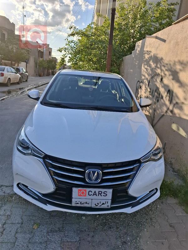 شانجان السفن 2020 للبيع في العراق - كركوك